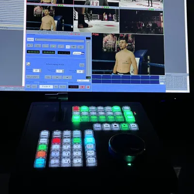 Смешанные единоборства ММА